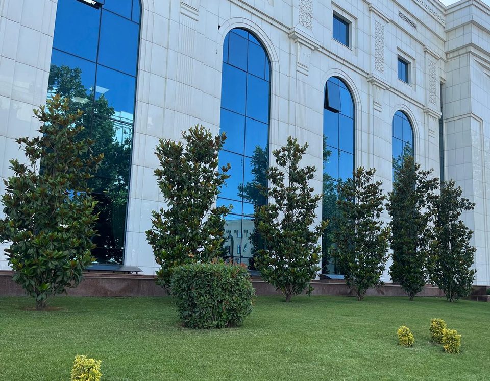 Weiße Fassade mit hohen Bogenfenstern und Bäumen auf einer Rasenfläche in Taschkent